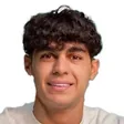 طاها محبی پور
