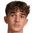 مکس داومن
